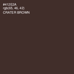 #412E2A - Crater Brown Color Image